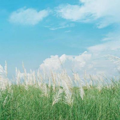 意境有档次的微信头像(16张)