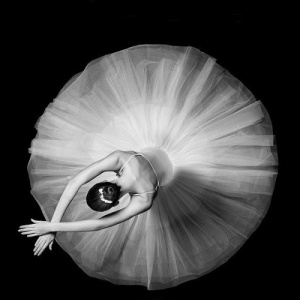 成熟且有深度的头像(24张)