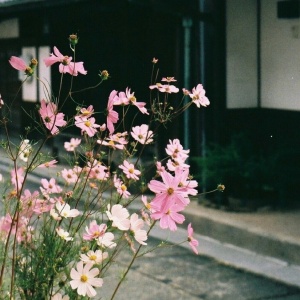 成熟且有深度的头像(24张)