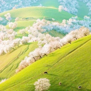 成熟且有深度的头像(24张)