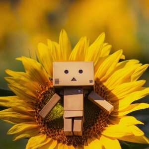 成熟且有深度的头像(24张)