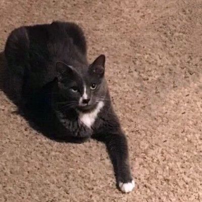 2023最火情侣头像傻雕(精选24张)