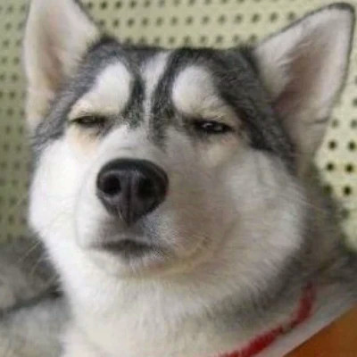 2023最火情侣头像傻雕(精选24张)