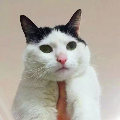 2023最火情侣头像傻雕(精选24张)