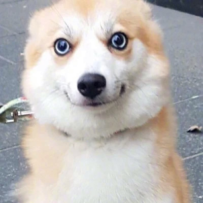 2023最火情侣头像傻雕(精选24张)