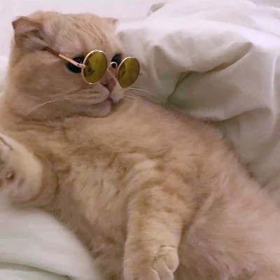 2023最火情侣头像傻雕(精选24张)