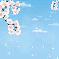 2023年最火梅花头像(精选21张)