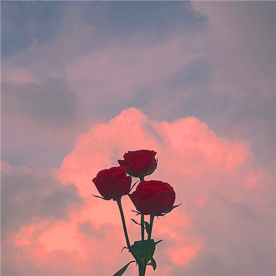 2023最火微信风景头像(精选24张)