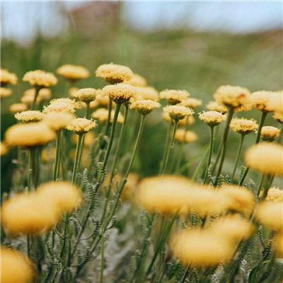 2023最火微信风景头像(精选24张)