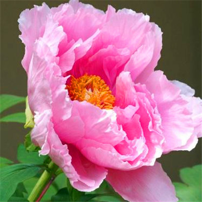 2023最流行微信头像(精选24张)