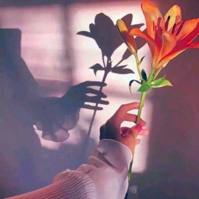 2023最流行微信头像(精选24张)