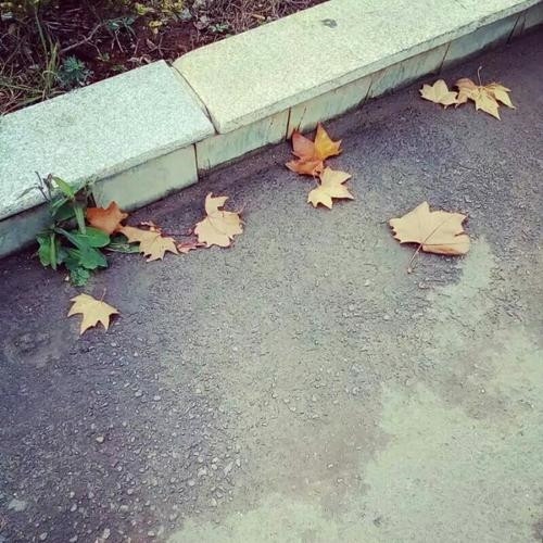 最火图片头像2023