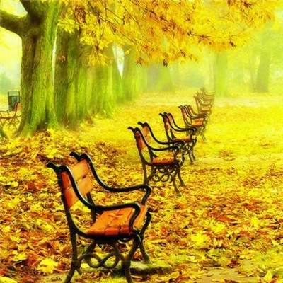 最火图片头像2023