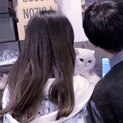 2023最火情侣头像宝宝