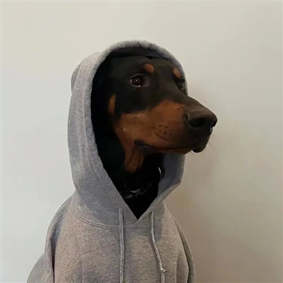 头像2023最火好看宠物(精选26张)