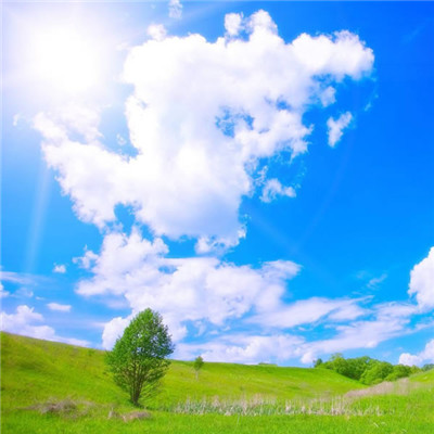 2023最实用微信头像(精选26张)