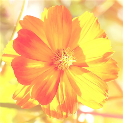 2023最实用微信头像(精选26张)