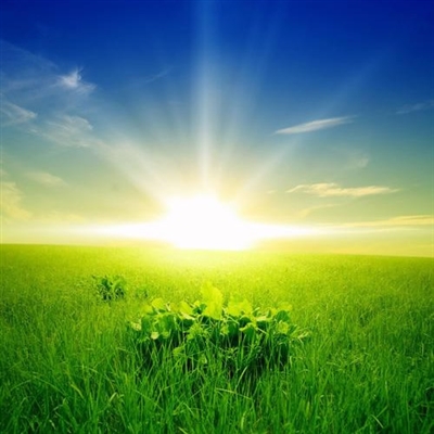 2023最实用微信头像(精选26张)