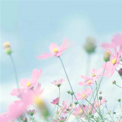 2023最实用微信头像(精选26张)