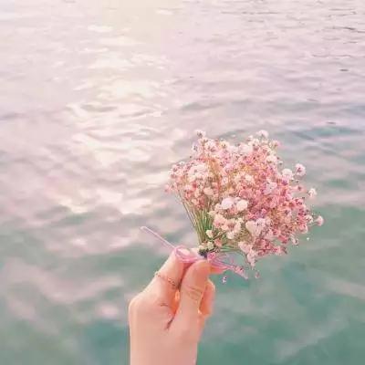 2023最实用微信头像(精选26张)