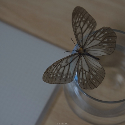 风景头像2023最火动漫(精选33张)