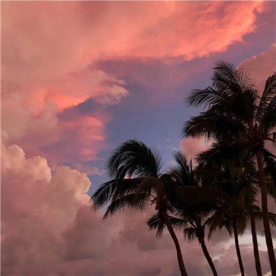 风景头像2023最火动漫(精选33张)