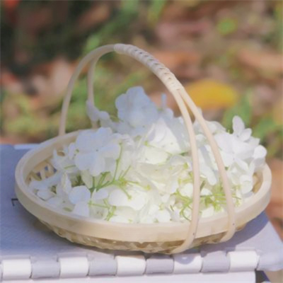 头像2023最火女生风景(精选30张)