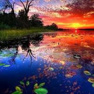 头像2023最火女生风景(精选30张)