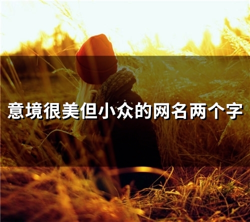 意境很美但小众的网名两个字(精选80个)
