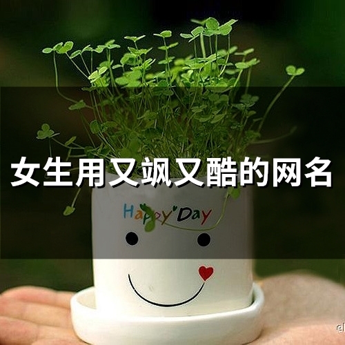女生用又飒又酷的网名(精选94个)