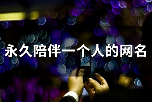 永久陪伴一个人的网名(125个)