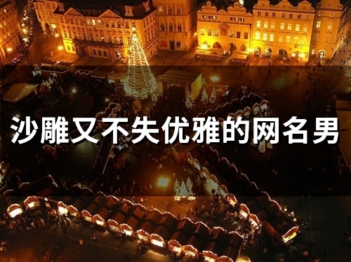 沙雕又不失优雅的网名男(精选80个)
