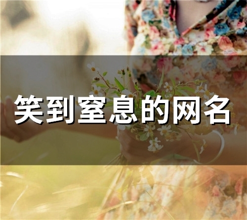 笑到窒息的网名(80个)