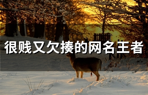 很贱又欠揍的网名王者(精选80个)