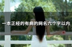 一本正经的有病的网名六个字以内(精选80个)