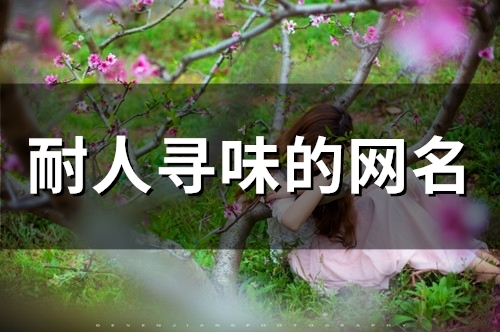 耐人寻味的网名(80个)