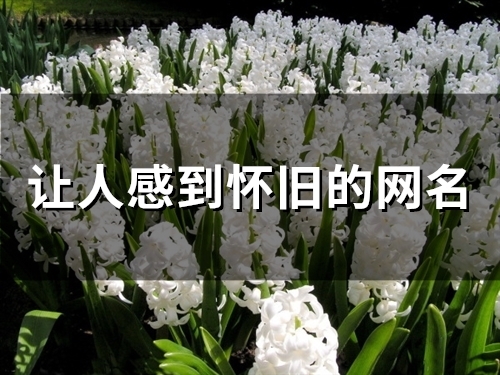 让人感到怀旧的网名(79个) 让人感到怀旧的网名(79个)