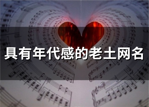 具有年代感的老土网名(80个)