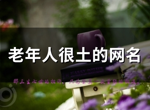 老年人很土的网名(精选80个) 老年人很土的网名(精选80个)
