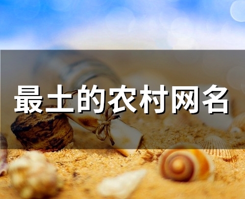 最土的农村网名(精选80个)