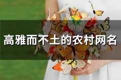 高雅而不土的农村网名(精选80个)