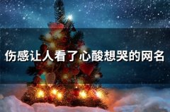 伤感让人看了心酸想哭的网名(精选160个)