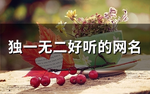 独一无二好听的网名(157个)