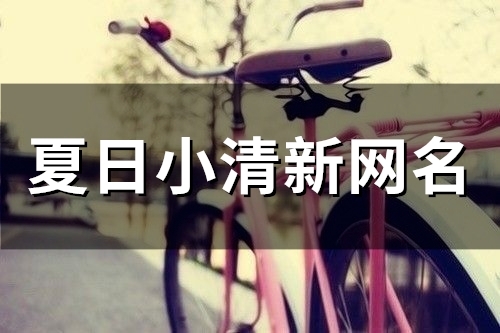 夏日小清新网名(95个)