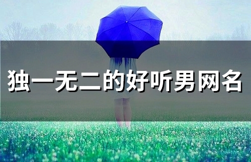 独一无二的好听男网名(精选90个) 独一无二的好听男网名(精选90个)