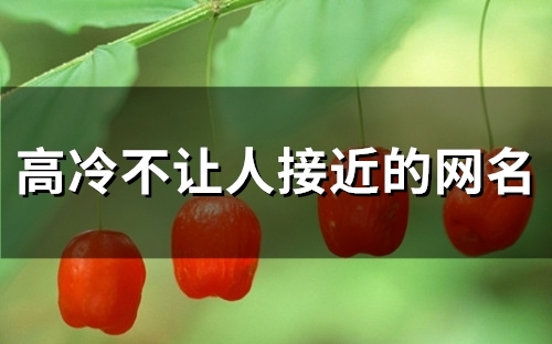 高冷不让人接近的网名(123个)