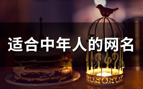 适合中年人的网名(86个)