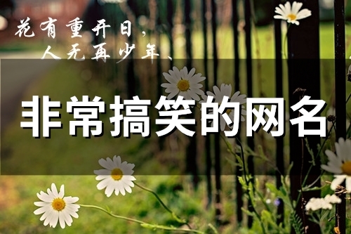 非常搞笑的网名(精选96个)