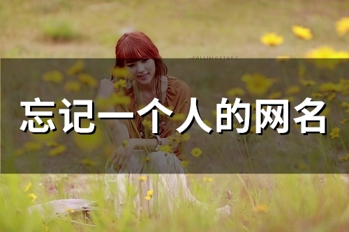 忘记一个人的网名(129个) 忘记一个人的网名(129个)