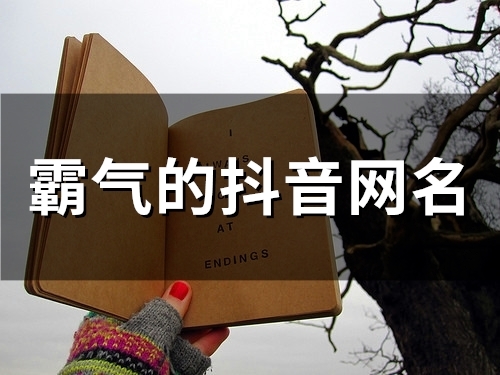 霸气的抖音网名(精选152个)